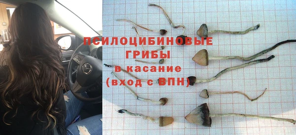 индика Пролетарск